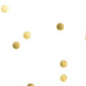 Meet your Posher, Ansley